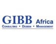 gibb-africa-9239